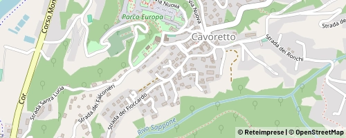 Mappa Turyn