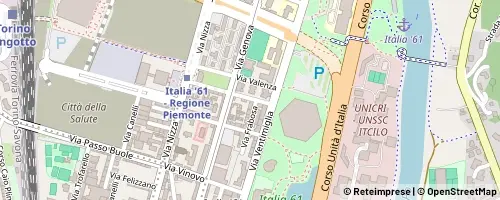 Mappa Torino