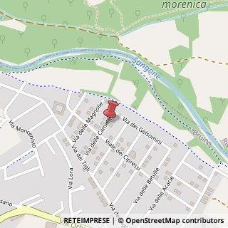 Mappa Via Delle Camelie, 21, 10090 Bruino, Torino (Piemonte)
