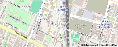 Mappa Torino