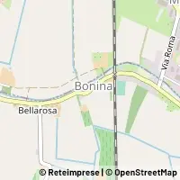 Carte Suzzara
