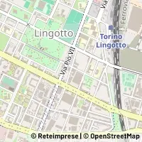 Peta Torino