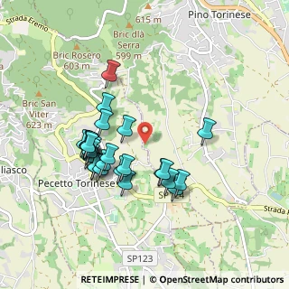 Mappa Strada Comunale della Ciattalina, 10025 Pino torinese TO, Italia (0.84074)