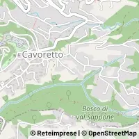Mapa Torino