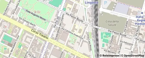 Mappa Torino