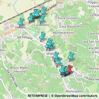 Mappa Via Roma, 27050 Torricella Verzate PV, Italia (0.556)