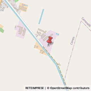 Mappa Via Cavo Bentivoglio, 3777, 45030 Ceneselli, Rovigo (Veneto)