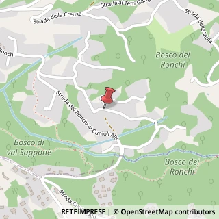 Mappa Strada Comunale dei Ronchi, 107, 10133 Torino, Torino (Piemonte)