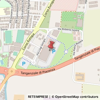 Mappa Via L. Gorgni, 13, 29100 Piacenza, Piacenza (Emilia Romagna)