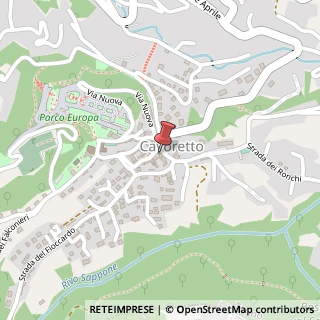 Mappa Piazza Carlo Freguglia, 11, 10133 Torino, Torino (Piemonte)