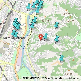 Mappa Via dell'Asilo, 10133 Torino TO, Italia (1.354)