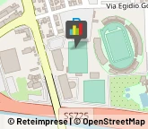 Palestre e Centri Fitness,29122Piacenza