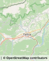 Aziende Agricole Feltre,32032Belluno