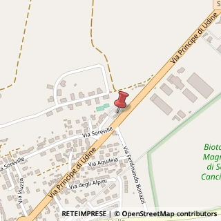 Mappa Via Principe di Udine, 63, 33030 Campoformido, Udine (Friuli-Venezia Giulia)