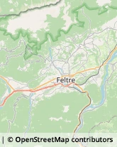 Autotrasporti Feltre,32032Belluno