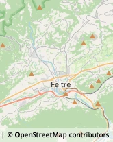 Autotrasporti Feltre,32032Belluno