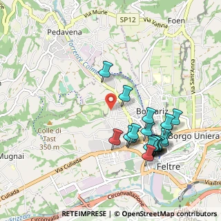 Mappa Via V. Bonsembiante, 32032 Feltre BL, Italia (1.0005)