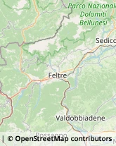 Falegnami Quero Vas,32030Belluno