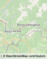 Istituti di Bellezza Grigno,38055Trento