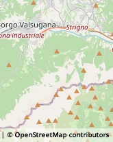 Poste Strigno,38059Trento