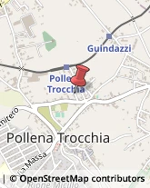 Via S. Giacomo, 32,80040Pollena Trocchia