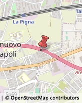Via Seneca, 49,80013Casalnuovo di Napoli