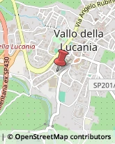 Via Francesco Cammarota, 57,84078Vallo della Lucania