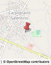 Via Isonzo, 37,73020Carpignano Salentino