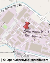 Via Boscofangone, 9,80035Nola