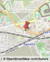 Via Nuova Agnano, 72,80125Napoli