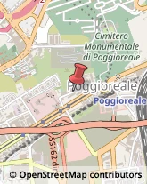 Via Monfalcone, 54/C,80143Napoli