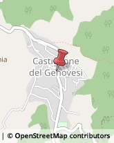 Via Le Rose, 3,84090Castiglione del Genovesi