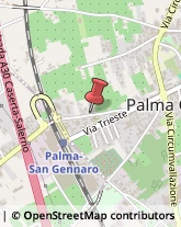 Via Vecchia San Gennaro, 75,80036Palma Campania