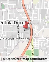Via Camelie, 6,81038Trentola-Ducenta