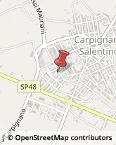 Via Giuseppe Verdi, 1,73020Carpignano Salentino
