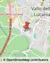 Via Francesco Cammarota, 83,84078Vallo della Lucania