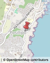 Via Posillipo, 213,80123Napoli