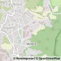 Peta Viganò