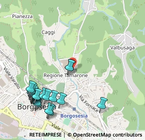 Mappa Via Tamarone, 13011 Borgosesia VC, Italia (0.6205)