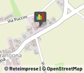 Materassi - Produzione,31037Treviso