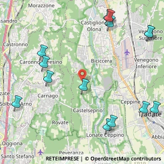 Mappa Via Castelvecchio, 21050 Castelseprio VA, Italia (2.99143)