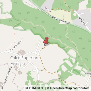 Mappa Via per Roncaccio, 9, 23885 Calco, Lecco (Lombardia)