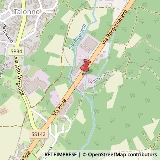 Mappa Via Borgomanero, 11, 28040 Paruzzaro, Novara (Piemonte)