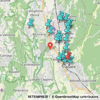 Mappa Via Luigi Galvani, 21040 Venegono Inferiore VA, Italia (1.7565)