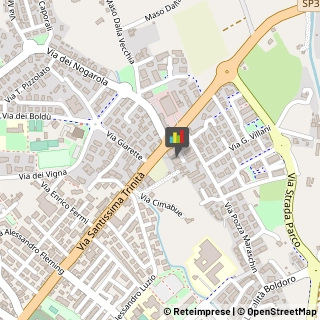 Logopedia Schio,36015Vicenza