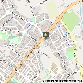 Logopedia Schio,36015Vicenza