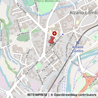 Mappa Via Giuseppe Mazzini, 116, 24022 Alzano Lombardo, Bergamo (Lombardia)