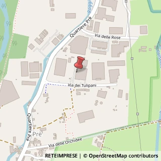 Mappa Via dei Tulipani, 19, 36061 Bassano del Grappa, Vicenza (Veneto)