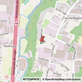 Mappa Via delle Betulle, 11, 21048 Solbiate Arno, Varese (Lombardia)