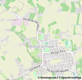 Mappa Via del domenicale, 31020 Breda Di Piave TV, Italia (0.264)
